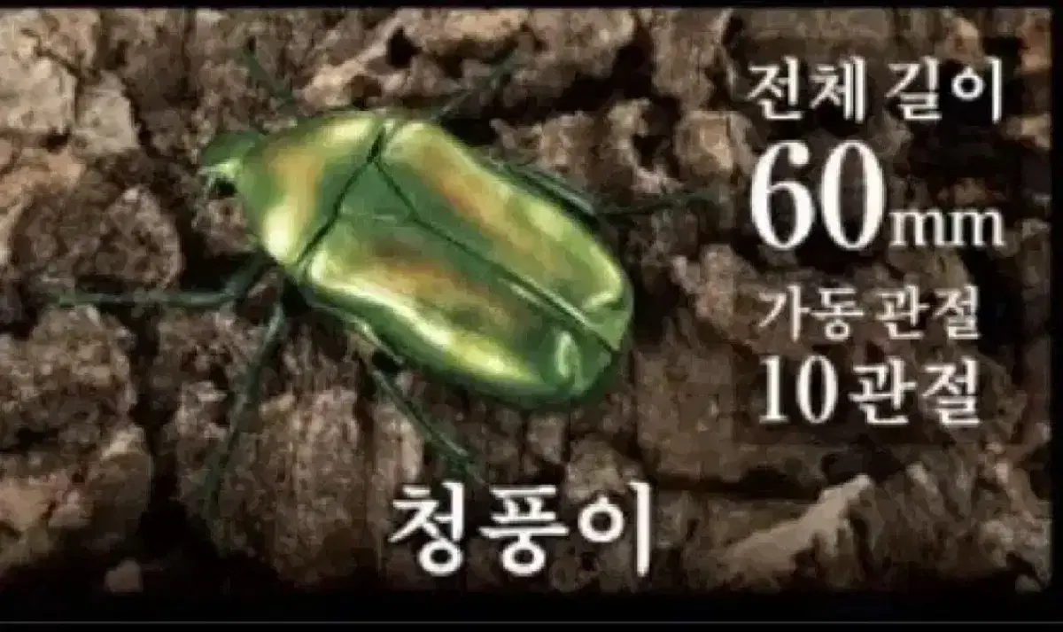 생물대도감 7탄 청풍이 판매